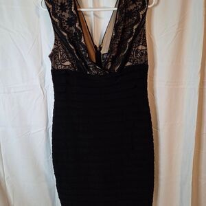 Adrianna Papell Elegant Black and Nude Backless Dress Lace Top Size 12P